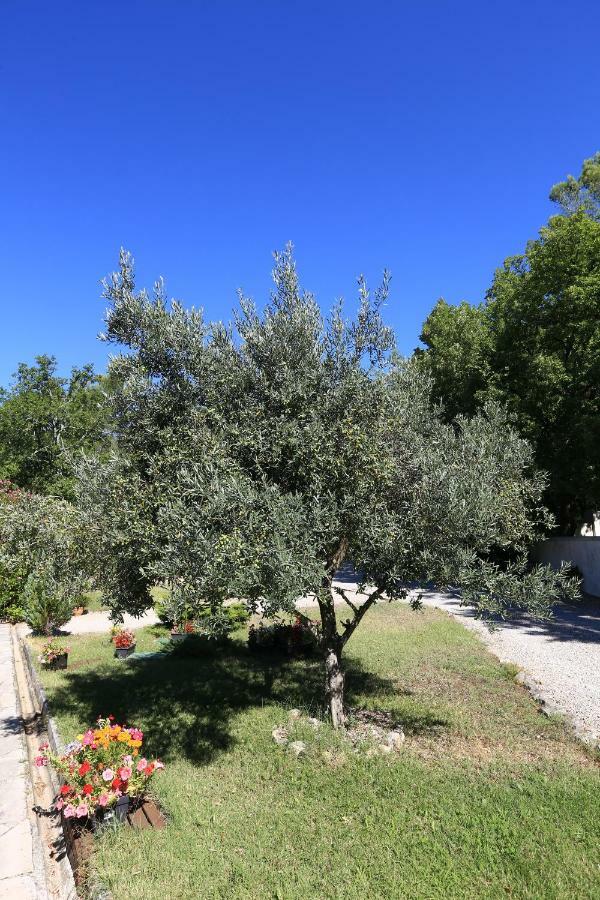 Le Mas Du Vieux Chene Saint-Paul-en-Forêt Dış mekan fotoğraf
